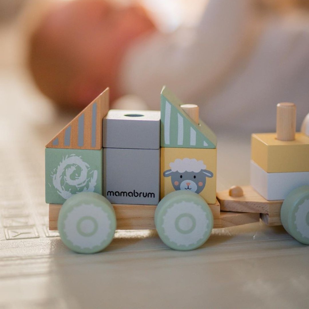 Train en bois avec des blocs pour un garçon - Ferme