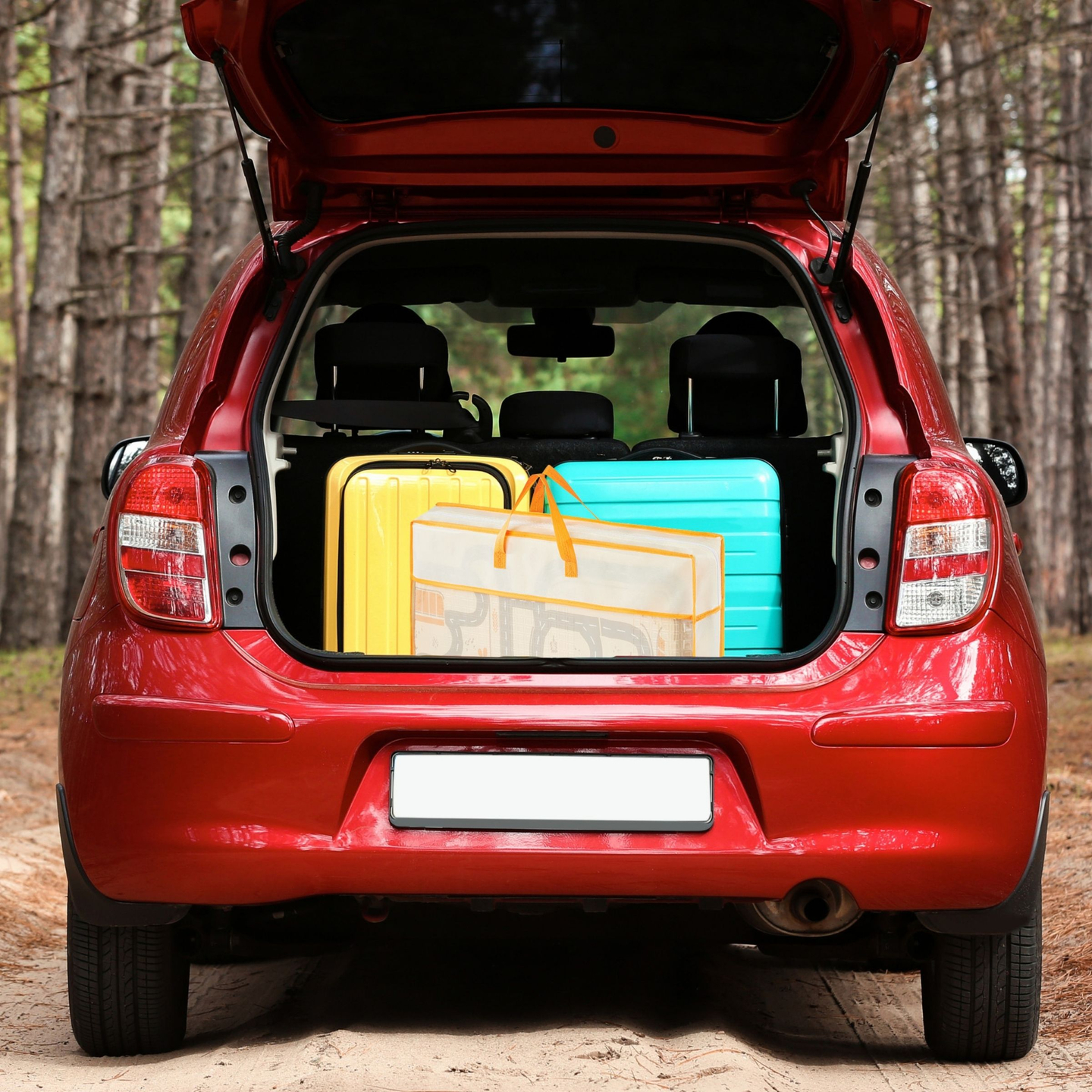 Tapis en mousse pliable double face 180 x 120 x 1 cm - Forêt Magique/Rues d'Automne - bohème