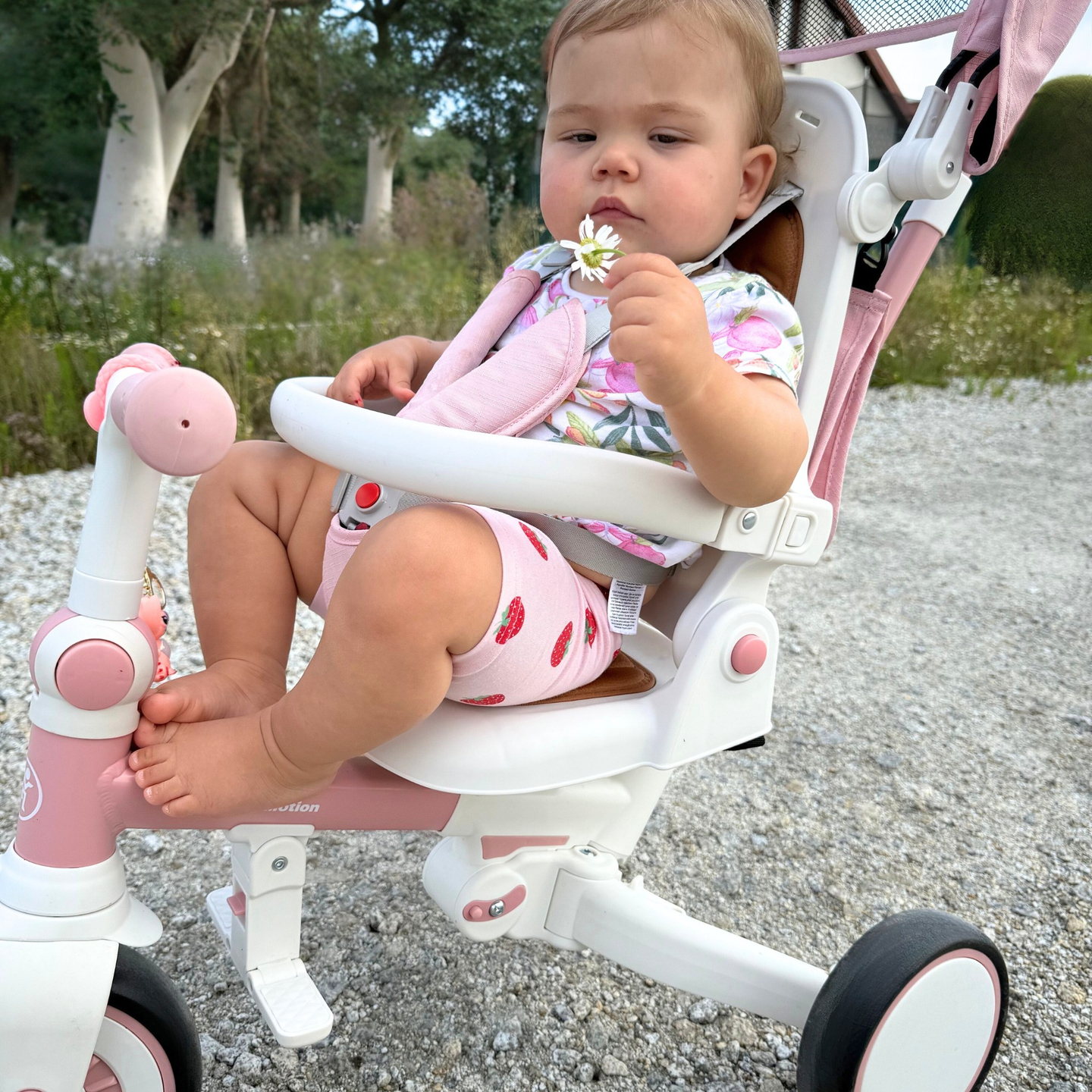 Tricycle multifonctionnel 8 en 1 TOBI FOREST - rose