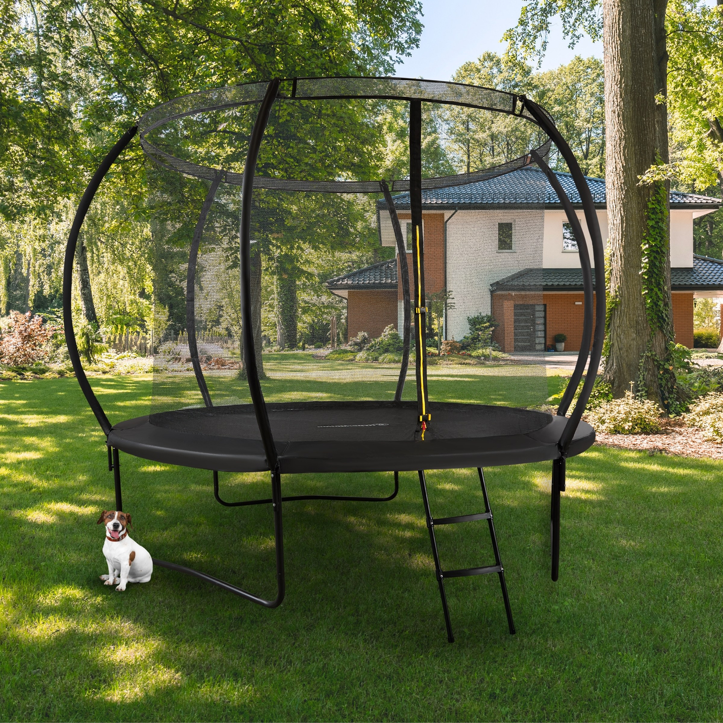 Trampoline de jardin XL pour enfants HyperMotion - 305 cm 10FT - avec échelle et filet intérieur - pour la maison et le jardin