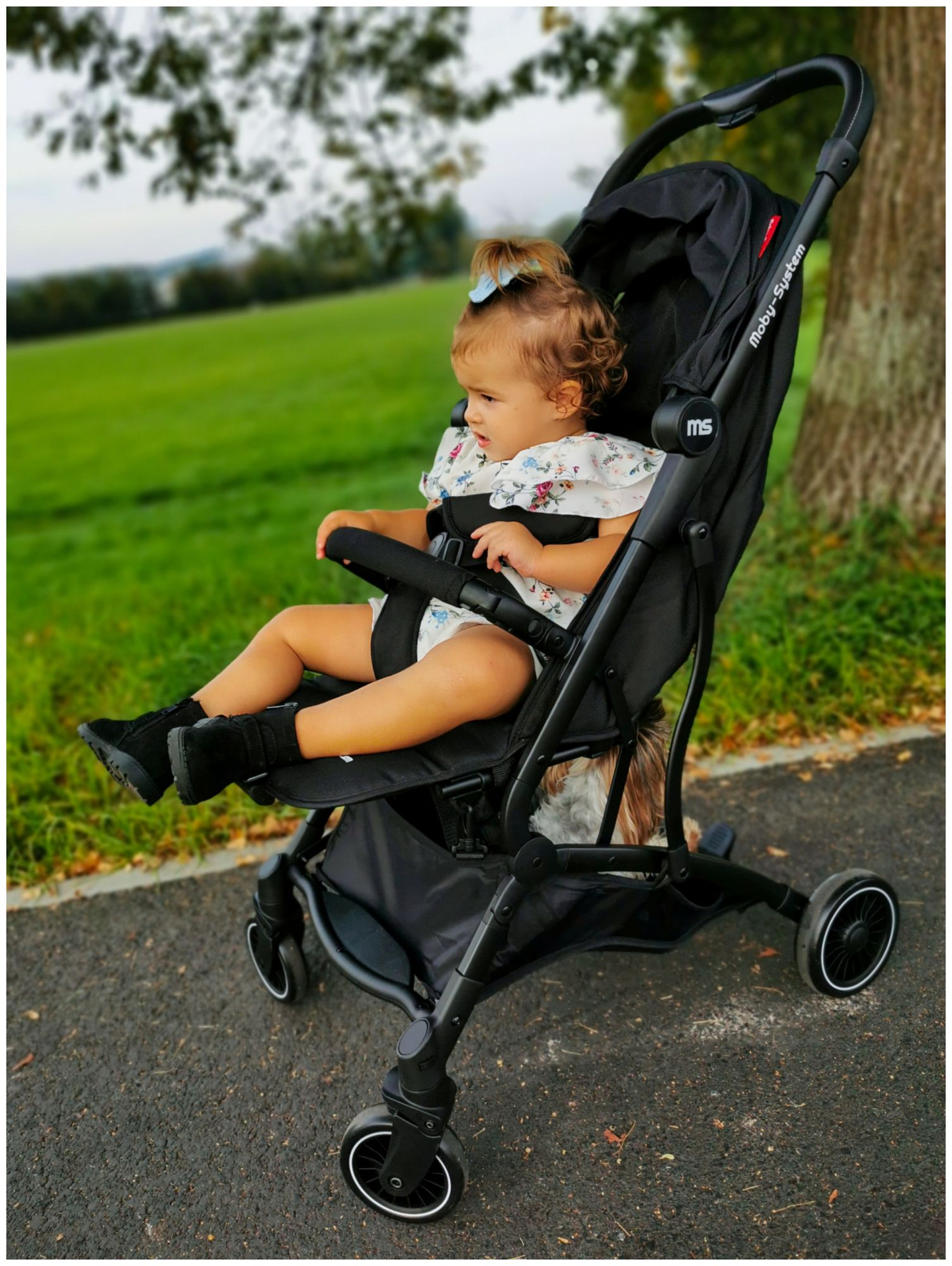 Chariot pour enfants spacerowy Moby-System LENA