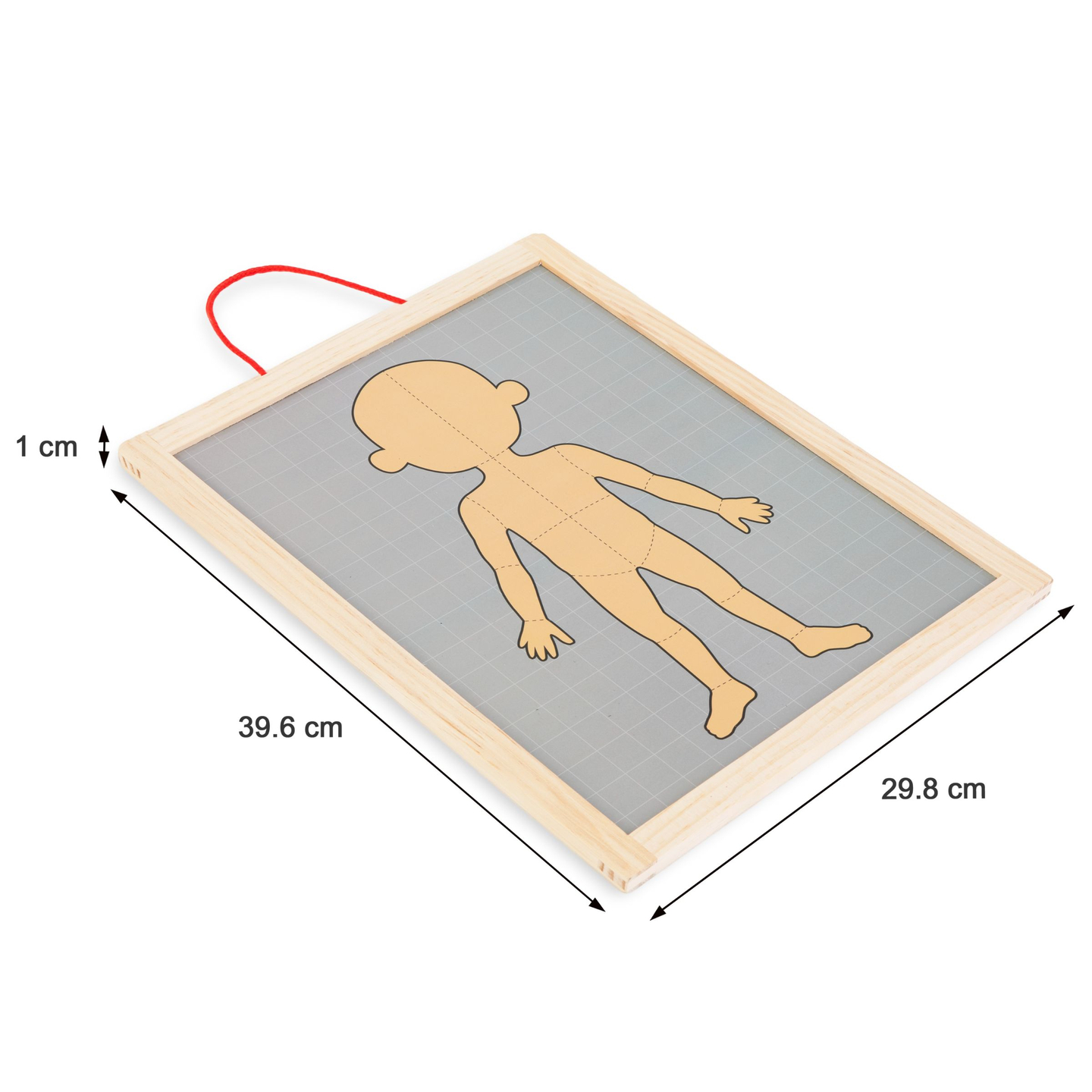 Puzzles magnétiques - Science de l'anatomie - Le corps humain