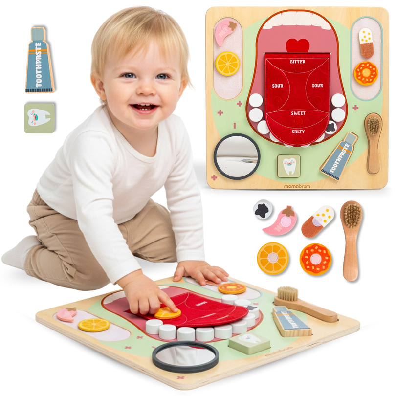Planche éducative Montessori en bois Petit Dentiste - brosse à dents, dentifrice, dents amovibles, miroir, nourriture, apprentissage des saveurs
