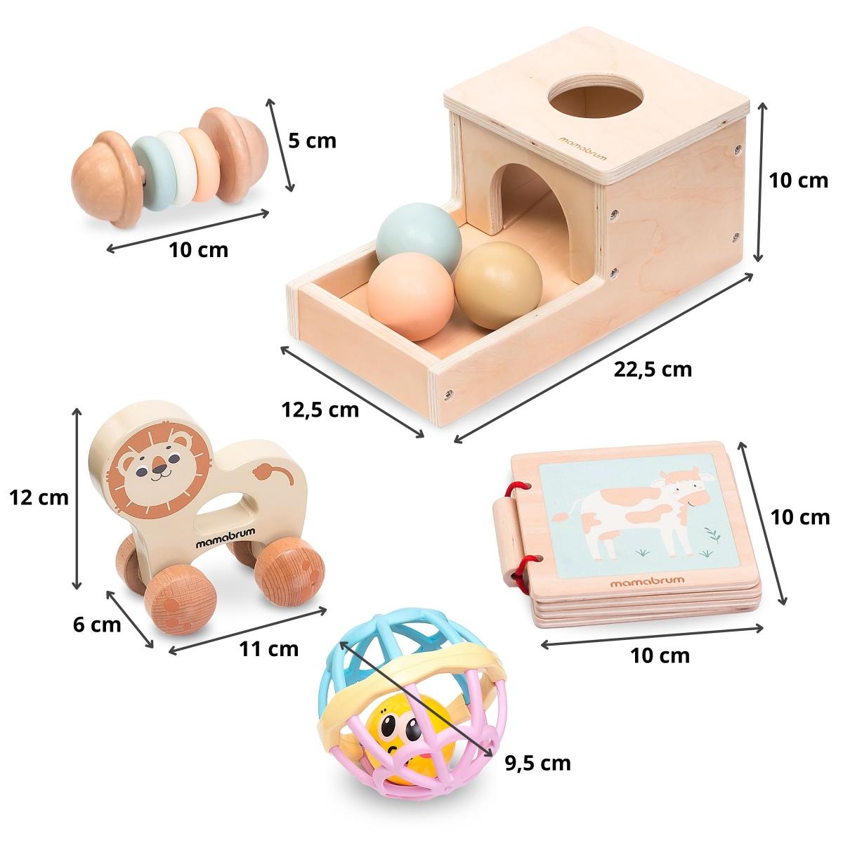 Ensemble de jouets Montessori pour bébé de 7 à 12 mois