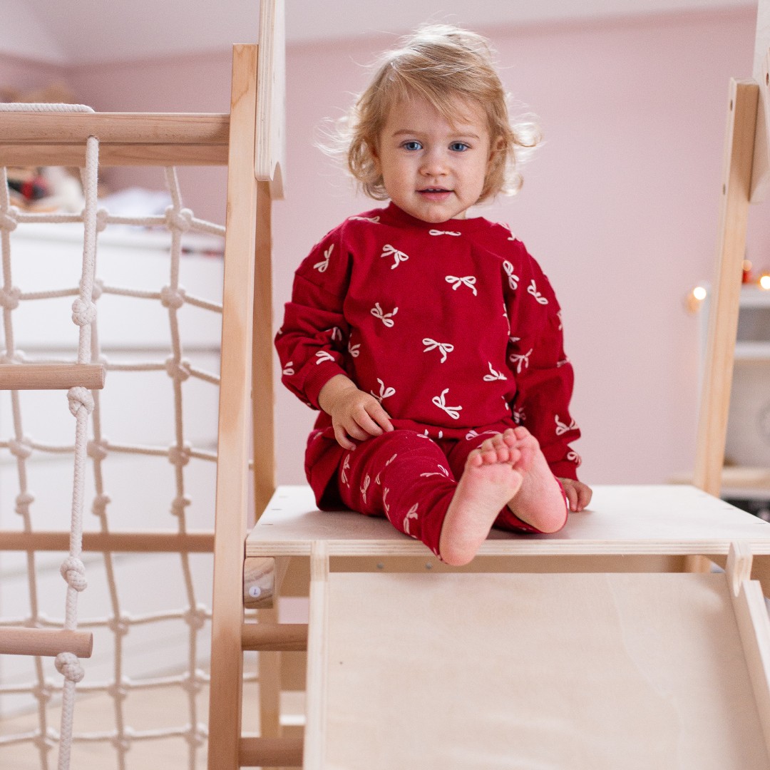 Aire de jeux en bois XL 5in1