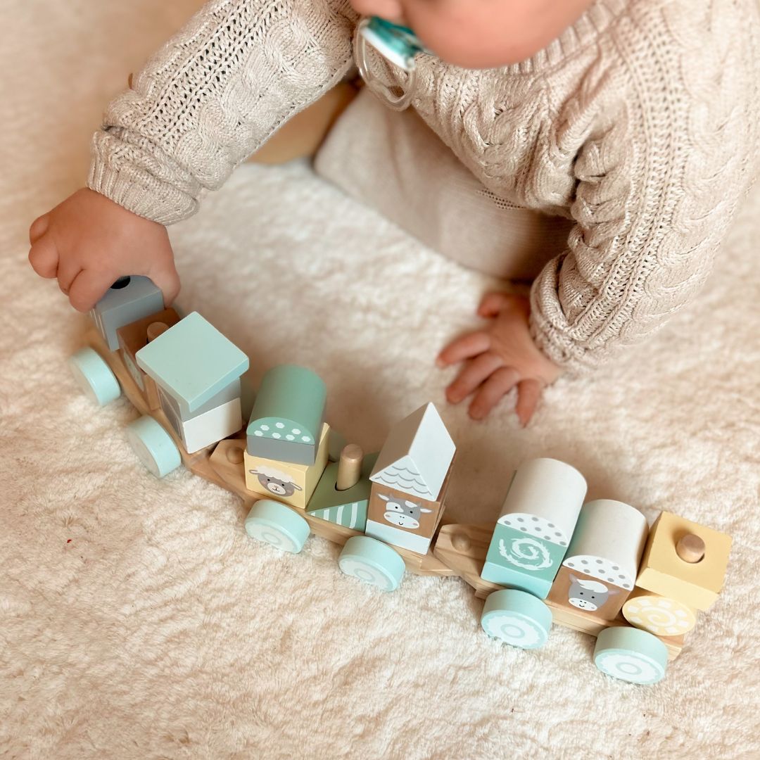 Train en bois avec des blocs pour un garçon - Ferme